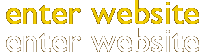 enter website